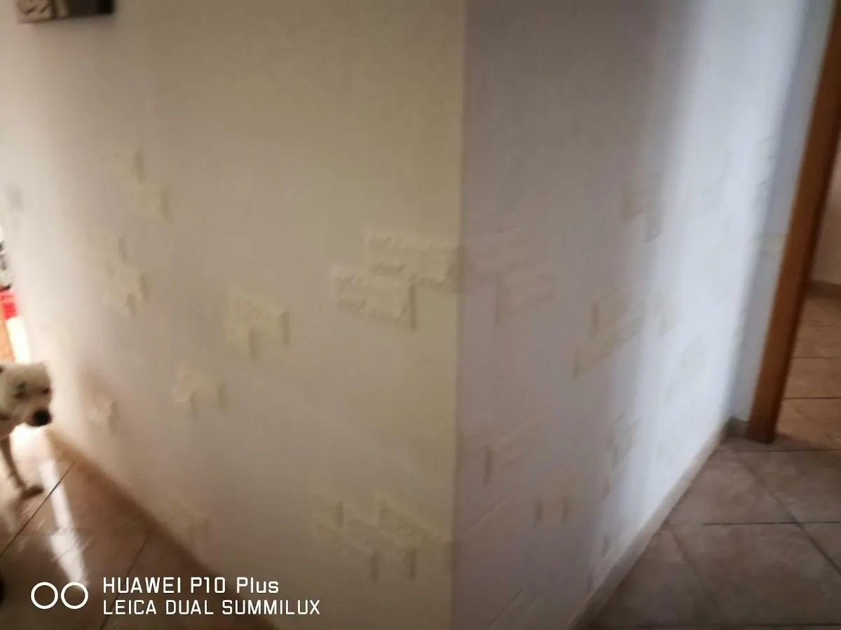 Apartment Calle Jamaica El Tablero  Spain